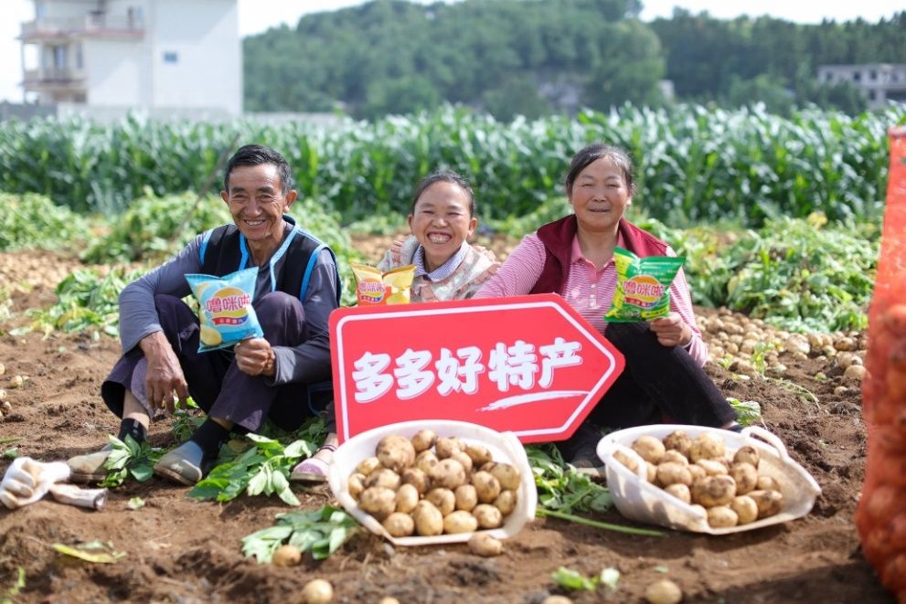 拼多多发布Q2财报，“千亿扶持”生态效用显现	，供需两侧实现高质量发展